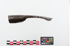 Foto von Eisendechsel (NHMW-PRAE-024328)
